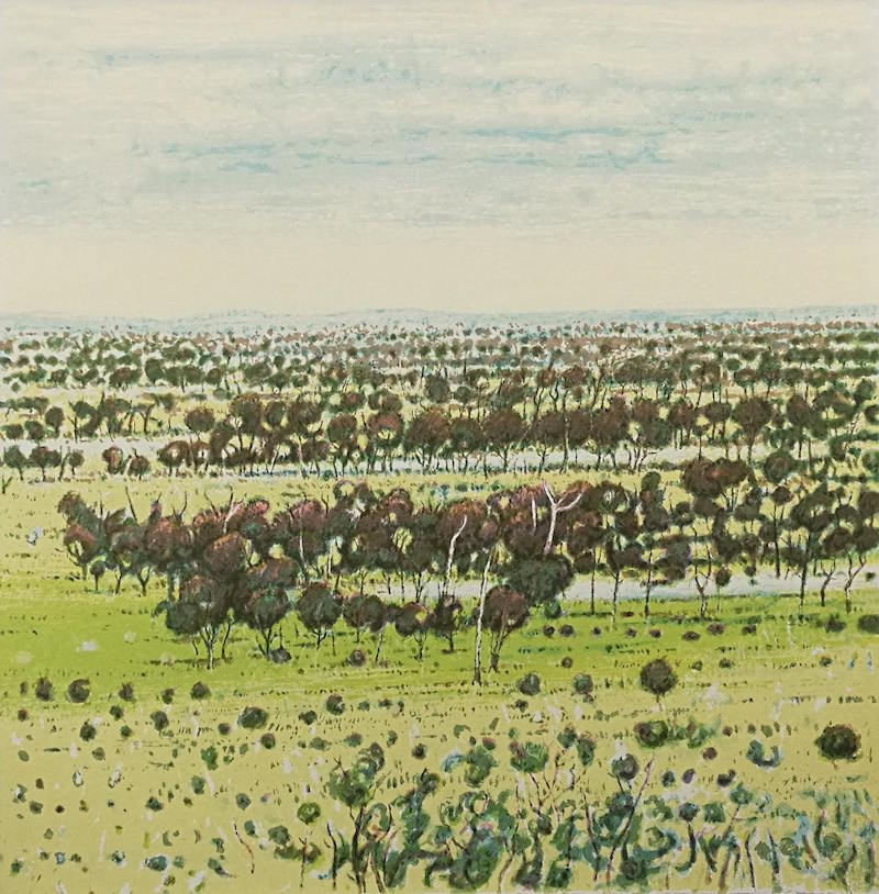 Clem Millward 'Rising Sap' image 0