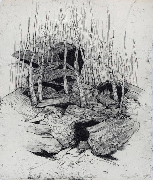 Kasia Fabijanska 'Surface' image 0