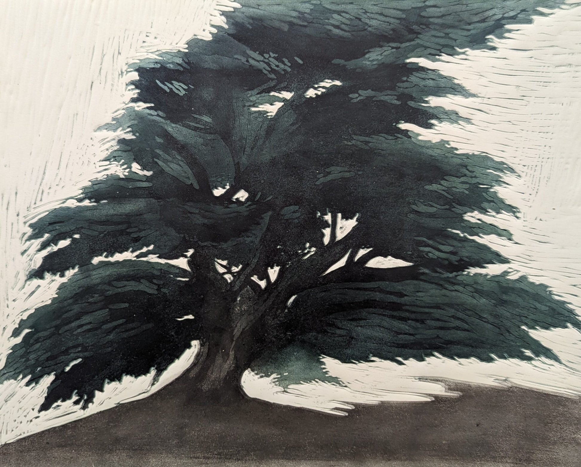 Carolyn Graham 'St Kilda Tree' image 0