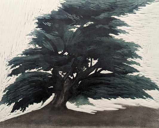 Carolyn Graham 'St Kilda Tree' image 0