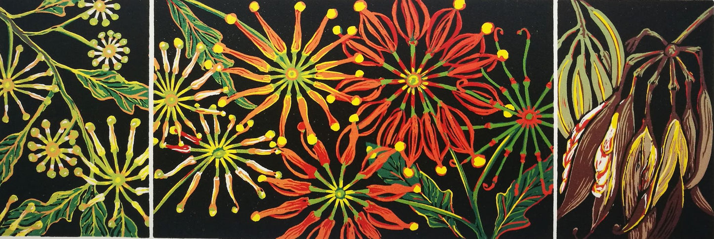 Anna Curtis 'Firewheel Tree 1' image 0