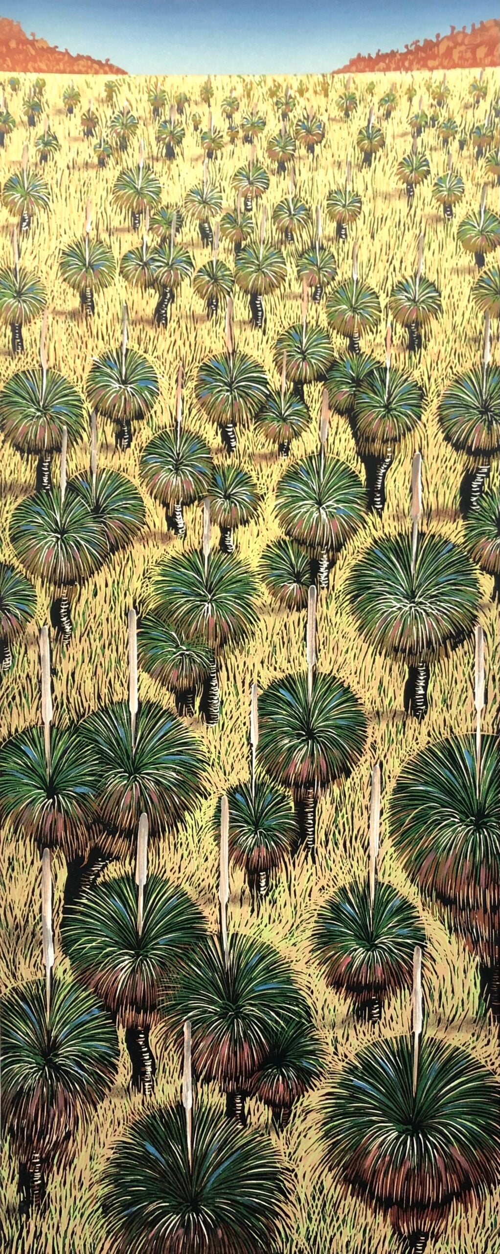Anna Curtis 'Grand Stand of Grasstrees' image 0