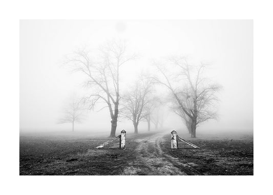Helga Salwe 'Perfect Misty Day' image 0