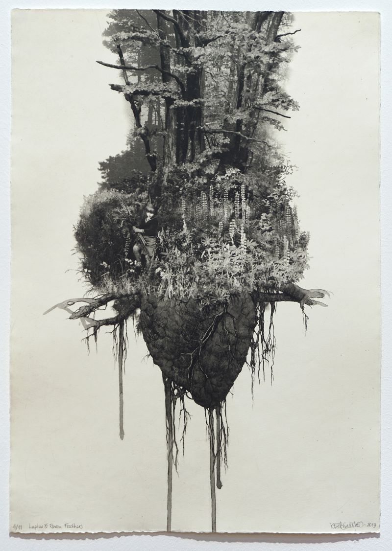 Kasia Fabijanska 'Lupins and Raven Feathers' image 0