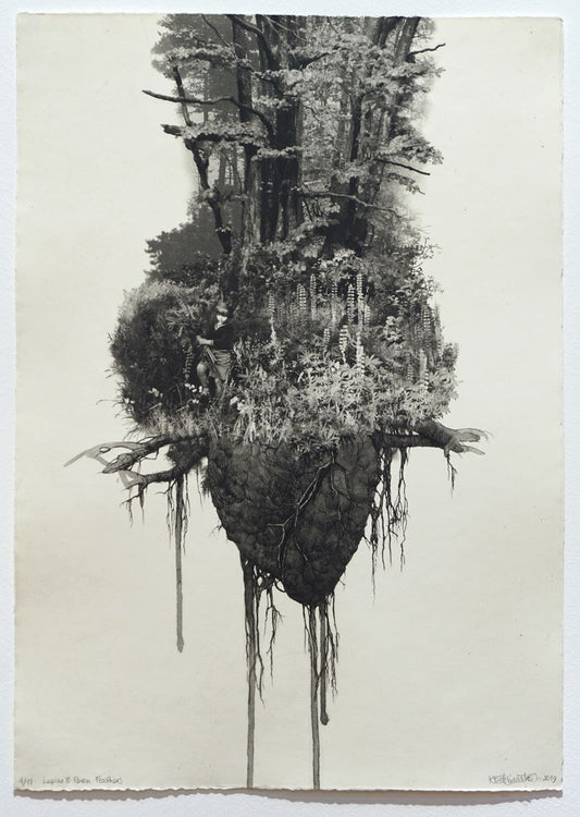 Kasia Fabijanska 'Lupins and Raven Feathers' image 0