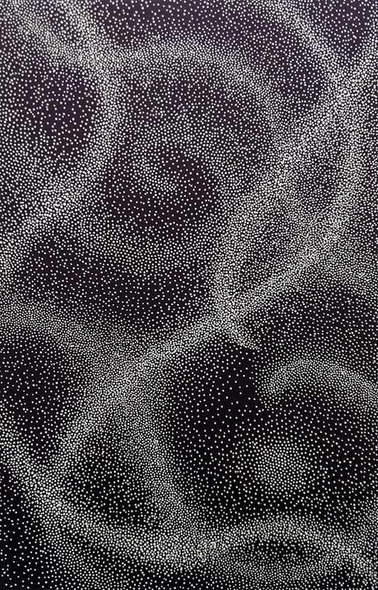 David Nixon 'Celeste' image 0