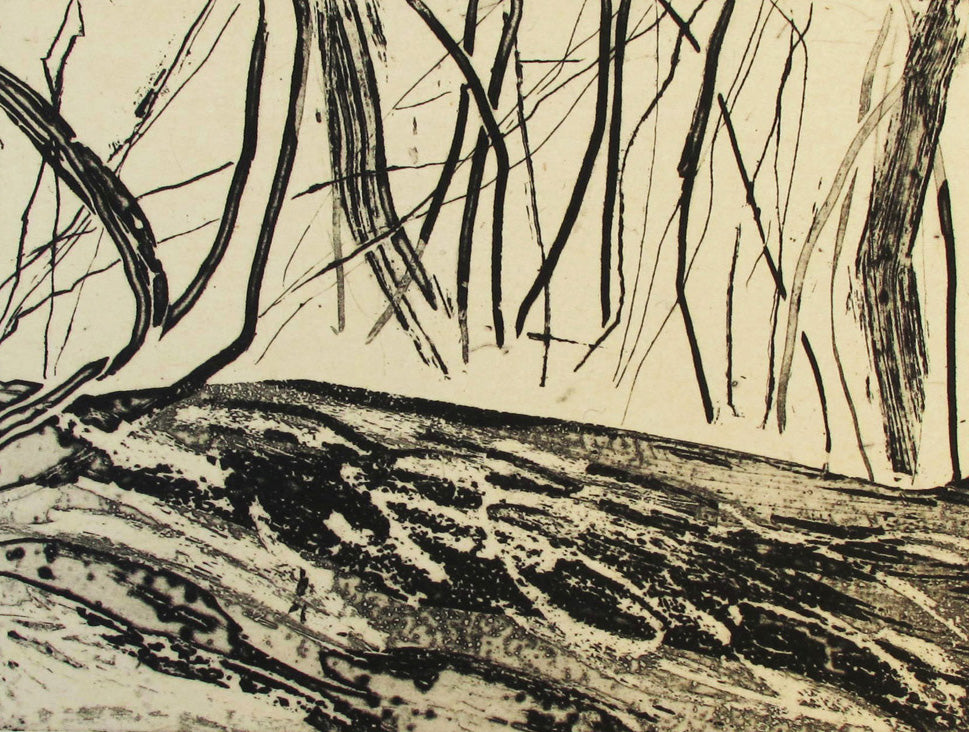 Danielle Creenaune 'Forest Passage'
