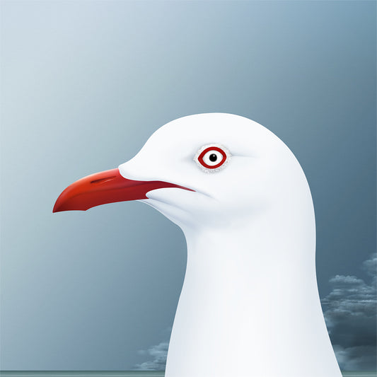 Kim Lynch 'Silver Gull'