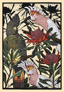Rachel Newling 'Major Mitchell's Cockatoo & Red-tailed Black Cockatoo with Waratah'