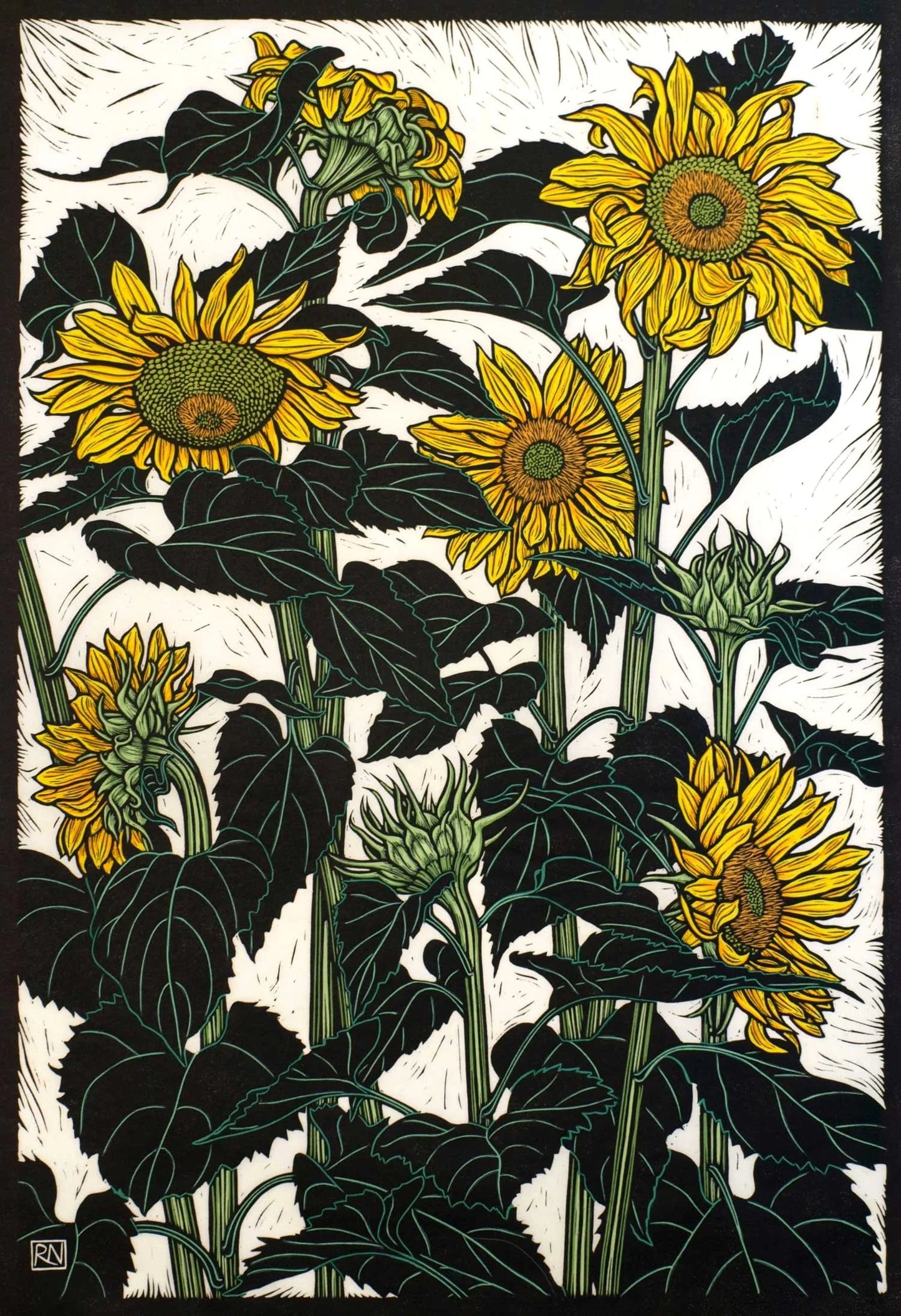Rachel Newling 'Sunflowers Newport'