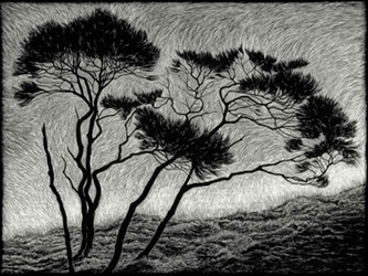 Rachel Newling 'Windblown'