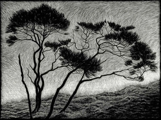 Rachel Newling 'Windblown'