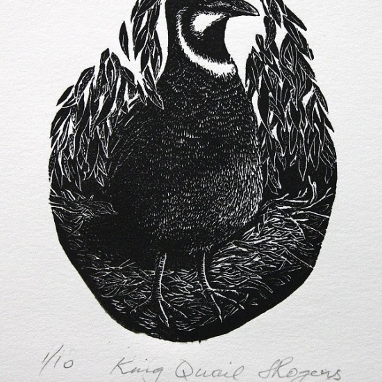 jennifer-rogers-king-quail