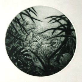 Nan Mulder, Fantail 12x12 cm, mezzotint (1)