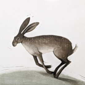 Carolyn-graham-running-hare
